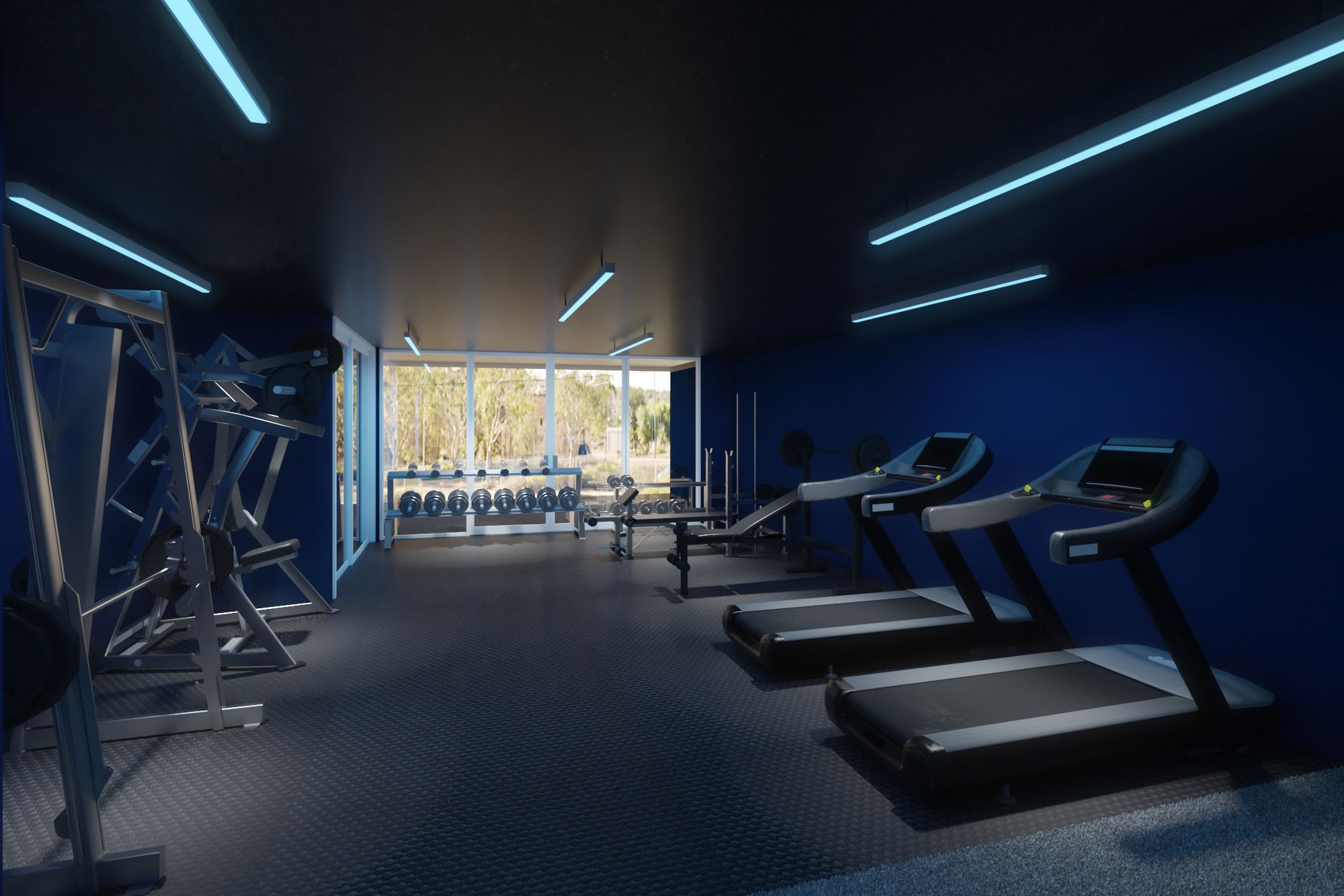 The Gym - Vista Image 4